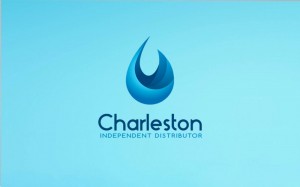 Charlestone - Branding, Logo Design, Dublin