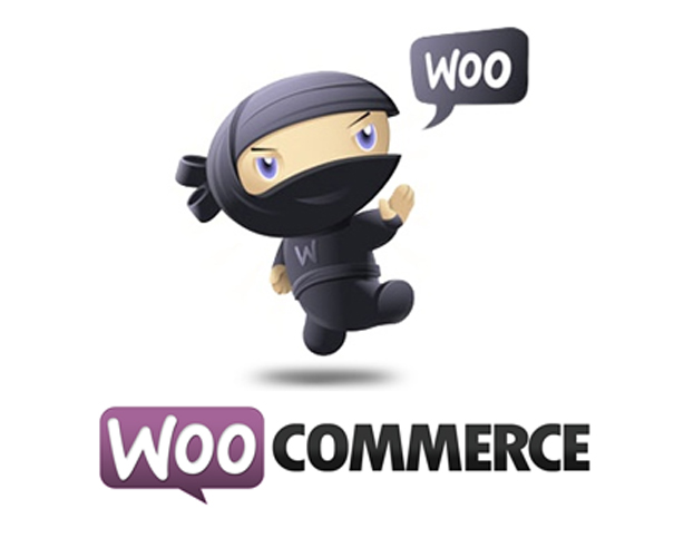 Wordpress E-Commerce