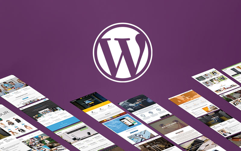 12 Reasons why WordPress is so popular