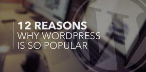 Why wordpress websites are so popular?