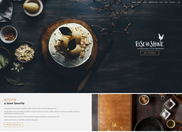 Rise & Shine Premium Divi Child Theme