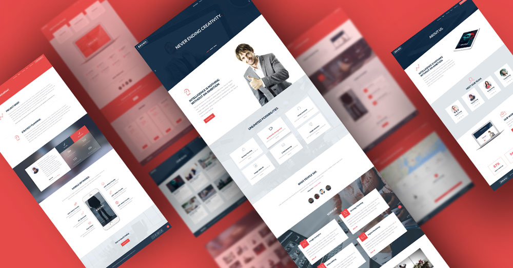 10 Business Websites using the BRUNO Divi Child Theme