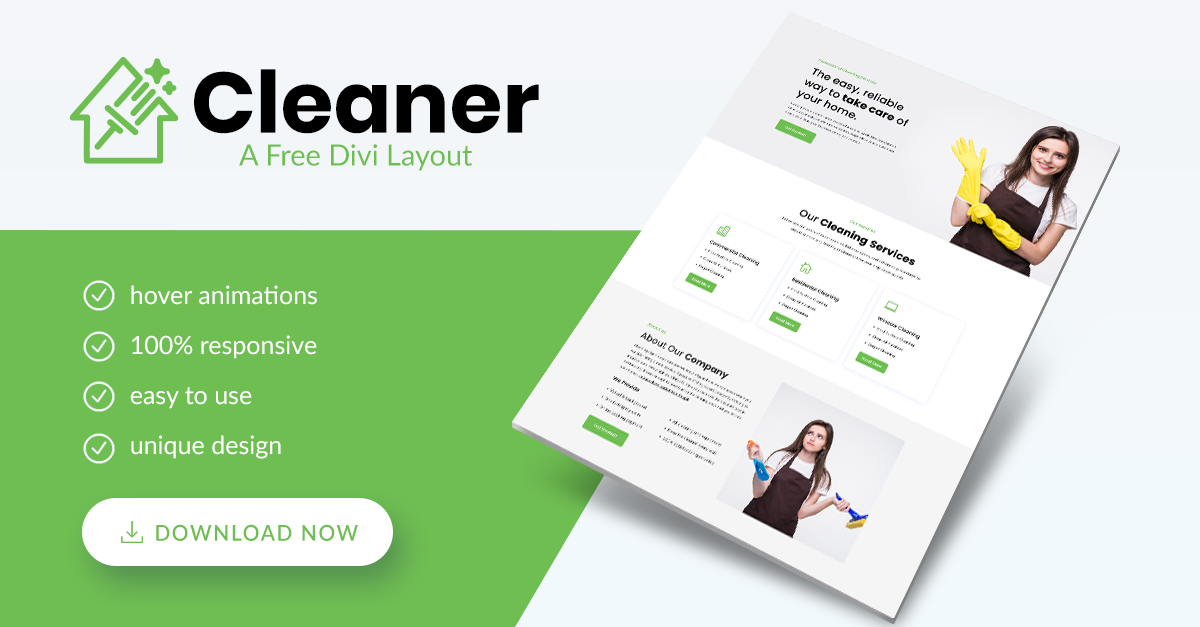 Cleaner | B3 Multimedia Solutions